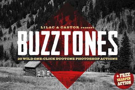 Buzztones - Photoshop Duotone Action