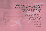Kleiro - Chamber Calligraphy Script, a Script Font by riff.type (Thumbnail 5 of 10)