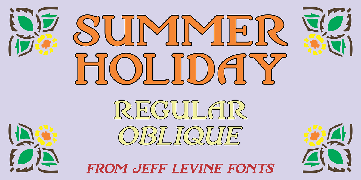 Summer Holiday JNL, a Serif Font by Jeff Levine Fonts (Photo 1 of 5)