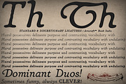 Heirloom Artcraft Family, a Serif Font by Baseline Fonts (Thumbnail 5 of 5)