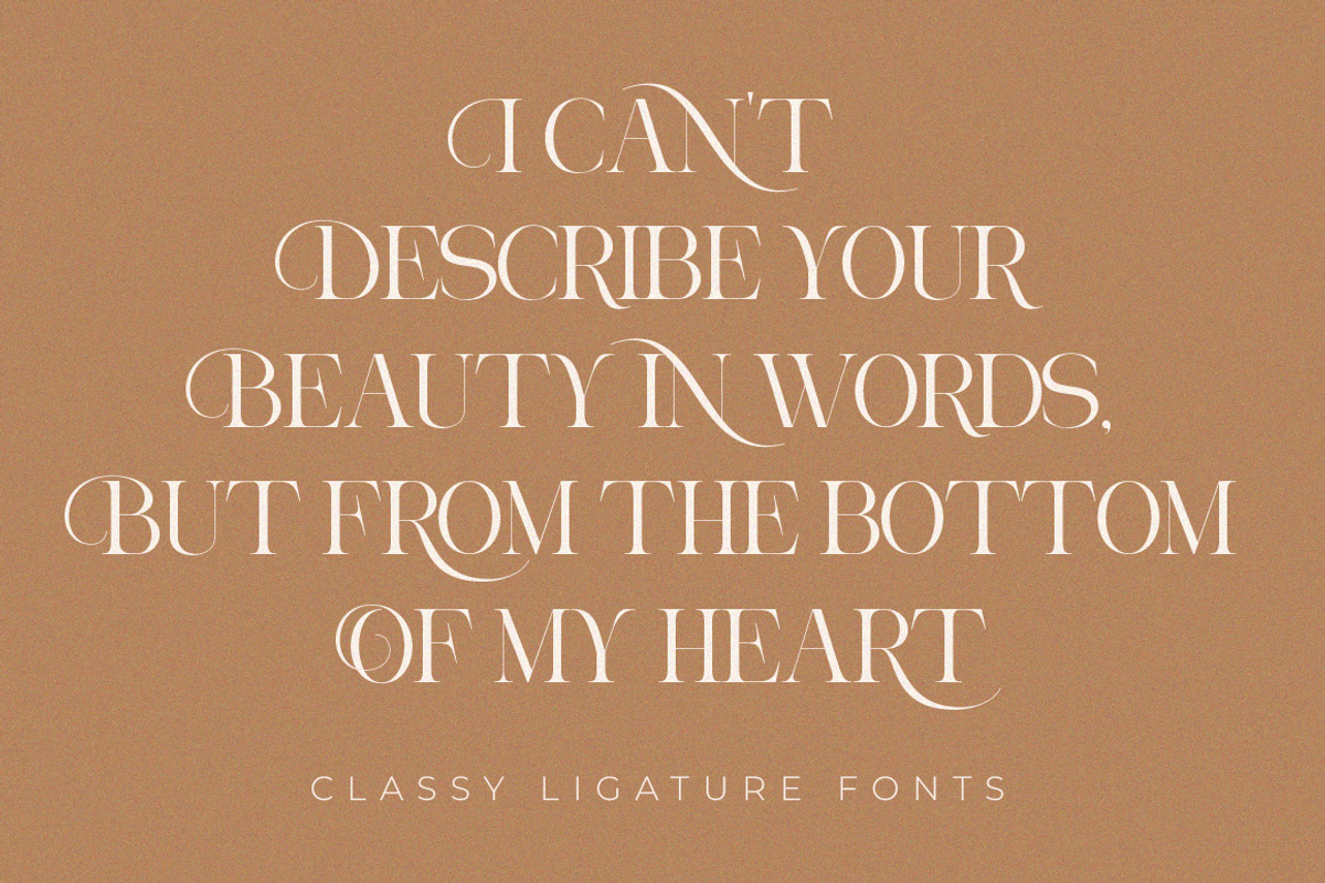 Aroney Family | 5 Style Fonts, a Serif Font by IM Studio (Photo 8 of 12)