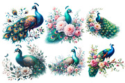 Peacock bird Clipart, an Illustration by Designworld (Thumbnail 3 of 4)