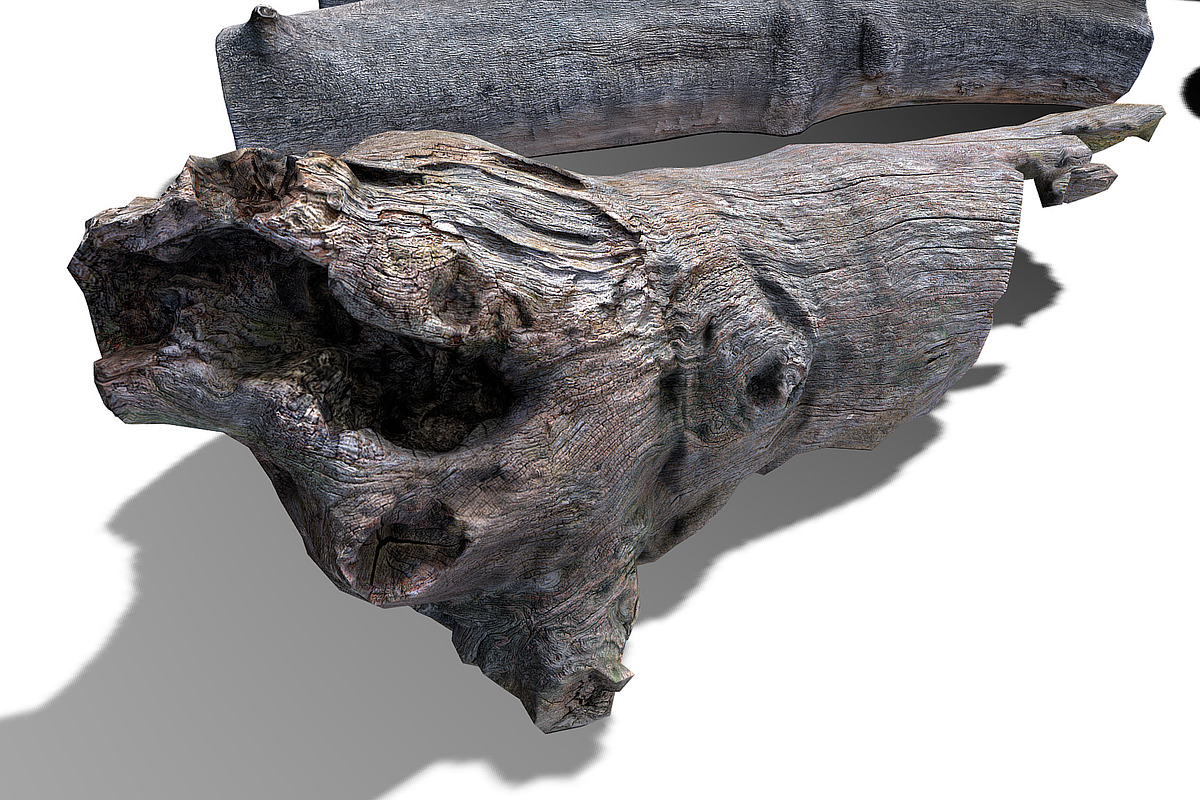 13 Tree Logs, an Environmental 3D Model by Beatheart Creative Studio (Photo 22 of 37)