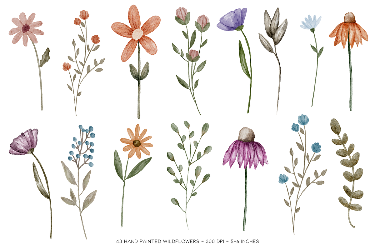 Painted Watercolor Flowers Clipart, a Decorative Illustration by Murphy & Frank (Photo 3 of 8)