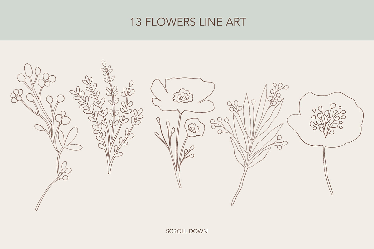 Procreate The Nature Spirits Toolkit, a Brush Add-On by Rosangela Curti (Photo 6 of 14)