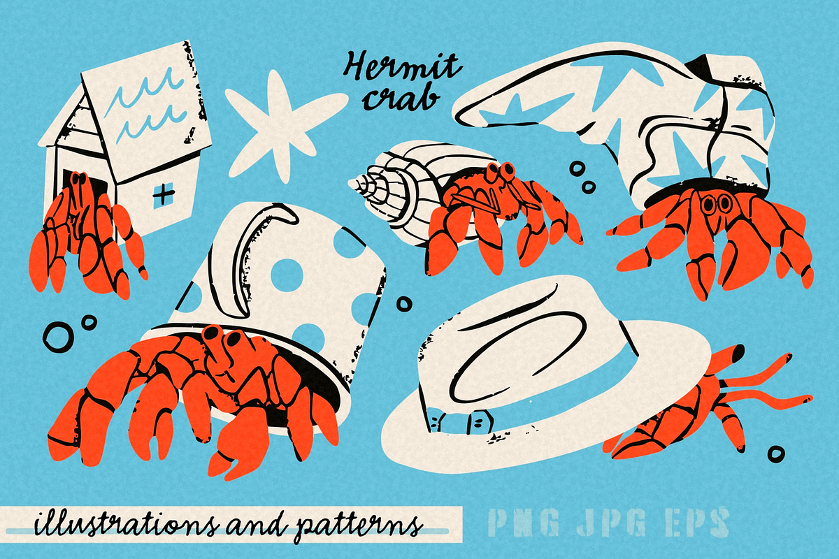 Hermit crab, an Animal Illustration by Twisted Tail (Photo 1 of 5)