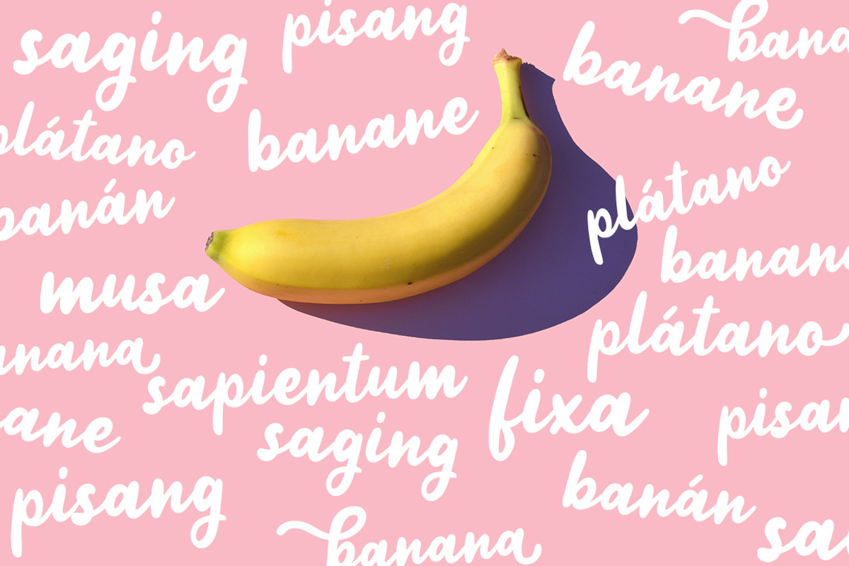 Jellly Bean Script & Sans Fun Font preview 5