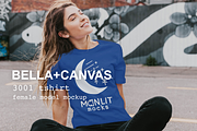 Bella Canvas 3001 Womens Tshirt Mock, a Shirt Mockup by Moonlit Mocks (Thumbnail 1 of 6)