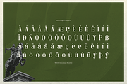 Davenor | Display Serif Font, a Serif Font by gracetype_studio (Thumbnail 10 of 11)