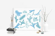 Cute fox.Vector design collection, an Animal Illustration by TashaDraw (Thumbnail 10 of 10)