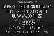 Special Baseball, a Sans Serif Font by FreshTypeINK (Thumbnail 8 of 8)