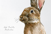 Watercolor brown rabbit clipart set, an Animal Illustration by yana.fefelova (Thumbnail 3 of 4)