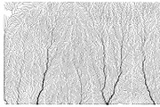 Growth - 50 Backgrounds, a Texture Graphic by GarryKillian (Thumbnail 19 of 51)