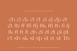 Coax, A Cool Sans Serif Display Font