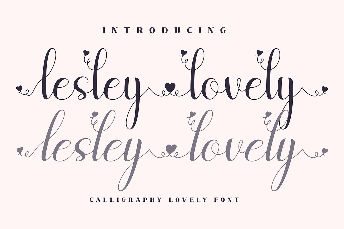 Lesley Lovely Script LS, a Script Font by GranzCreative (Photo 1 of 20)