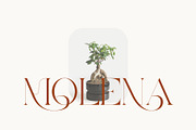 Mayor - Stylish Serif Font, a Serif Font by Aqeel_Art (Thumbnail 2 of 12)