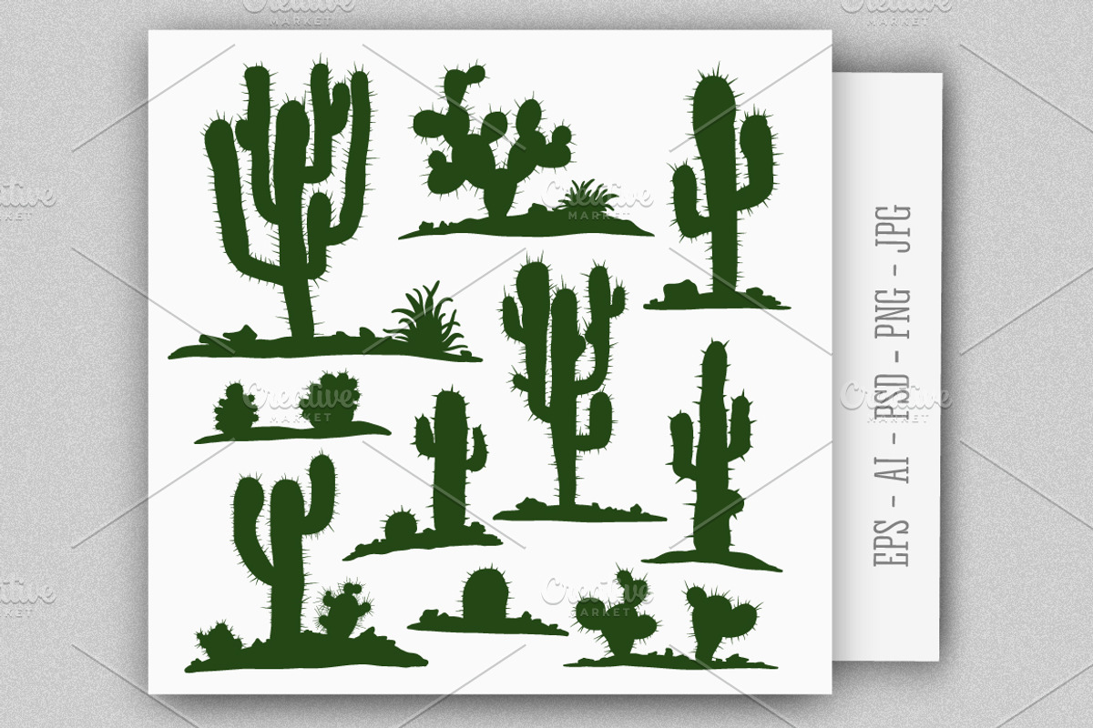 Vector Cacti & Succulents Set, an Object Illustration by MSA-Graphics (Photo 2 of 6)