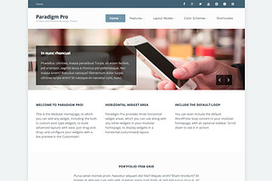 Paradigm Pro: Modern Business Theme