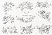 Elegant floral collection.Line art, a Decorative Illustration by Vera●Suleimanova (Thumbnail 8 of 15)