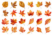 Watercolor Autumn Leaves Clipart, a Decorative Illustration by Nicolle's Colorful Art (Thumbnail 2 of 5)