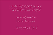 Rosa Signature typeface, a Script Font by WAP (Thumbnail 4 of 6)