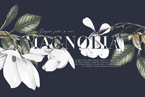 Magnolia SS-2022 Print Design