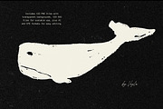 Textured Animals: 123 Elements, an Animal Illustration by Veyla (Thumbnail 10 of 14)