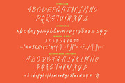 Delectus - Signature Font Duo, a Handwritten Font by tebaltipislab (Thumbnail 8 of 15)