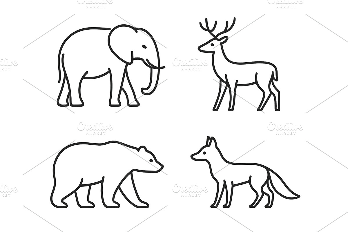 Four different animal illustrations, an Animal Illustration by ZinetroN