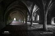 12 Lightroom Presets: Black & White, an Action Add-On by Frederick & Lightroom (Thumbnail 2 of 5)
