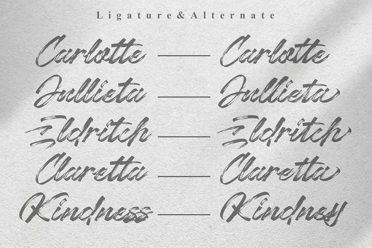 Chaletliness | Modern Script Brush, a Script Font by Madhaline Studio (Photo 12 of 15)