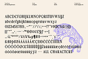 CS Sterling Drawn, a Serif Font by Craft Supply Co. (Thumbnail 8 of 8)