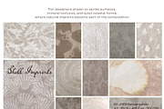 Shell Imprint textures, a Background Graphic by DigARTbyHavroshka (Thumbnail 9 of 12)