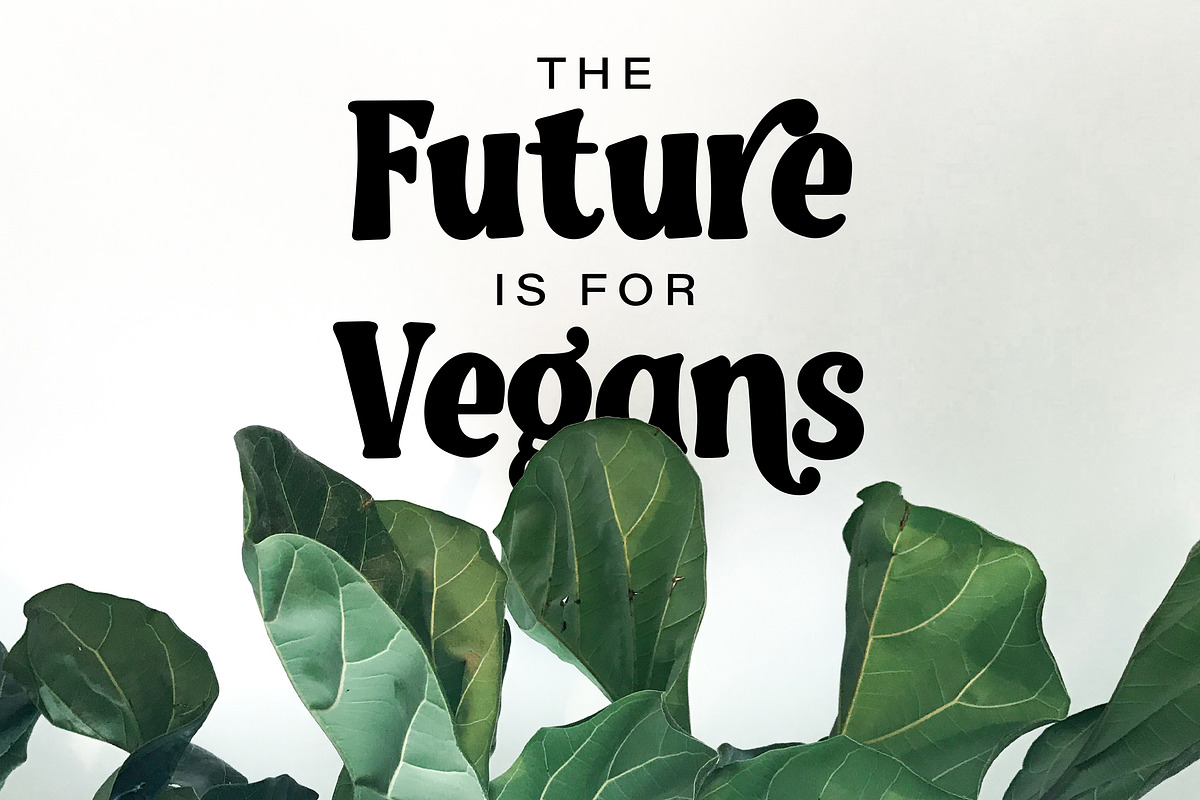 Madison -  Serif Font, a Serif Font by AQR Studio (Photo 2 of 7)