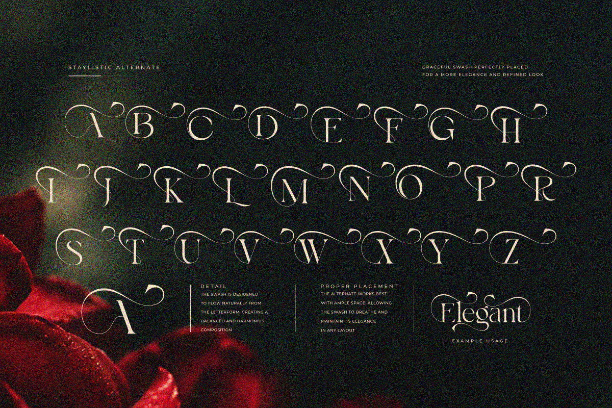 Bayari, a Serif Font by zaaintype (Photo 4 of 11)