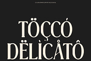 CS Alma Drawn, a Serif Font by Craft Supply Co. (Thumbnail 5 of 8)