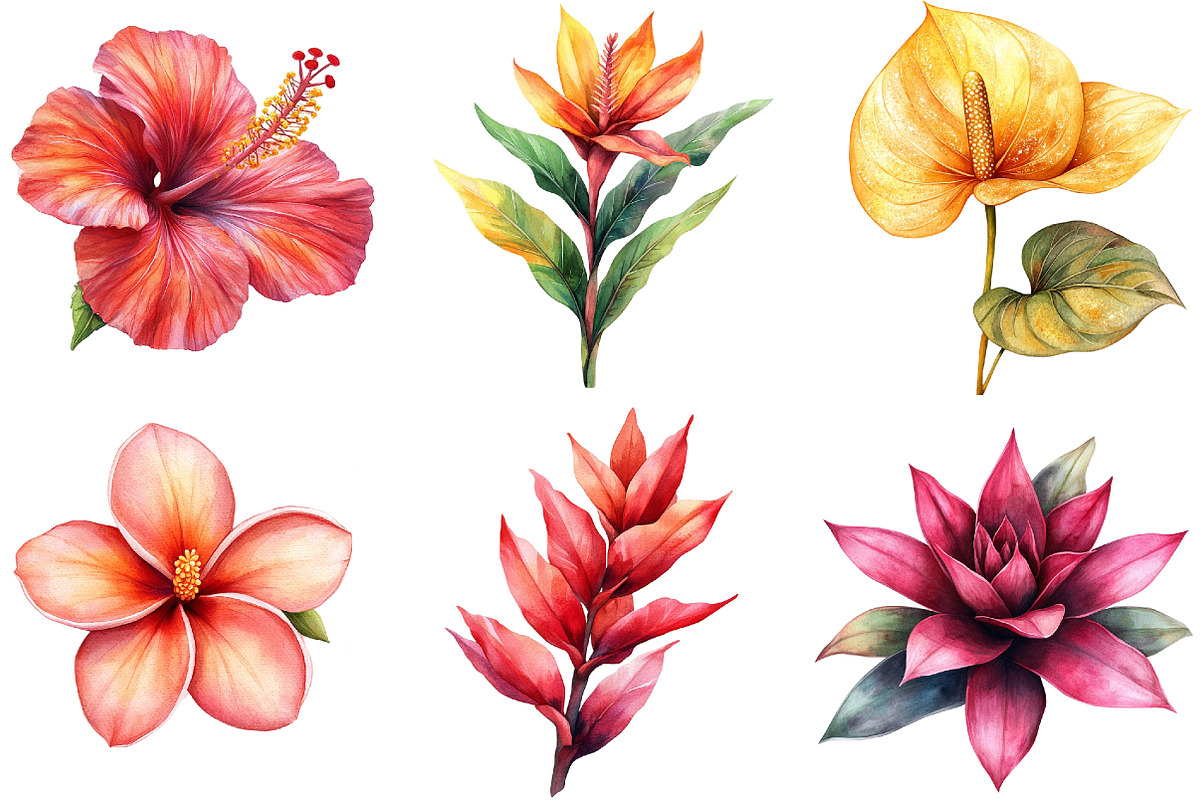 Tropical Watercolor Flower Bundle, an Illustration by Pixels.Craft (Photo 7 of 8)
