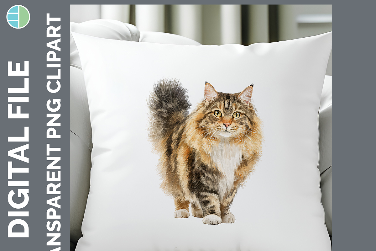 Cat Breed Clipart Bundle, 24 PNGs, an Animal Illustration by Enliven Designs (Photo 7 of 8)
