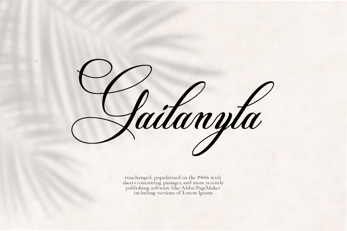 Palm Beach Modern Script Font, a Script Font by Muntab_Art (Photo 5 of 10)