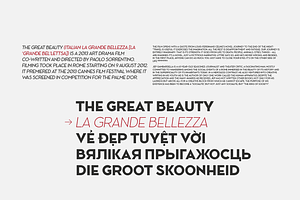 Ace Sans Variable Font