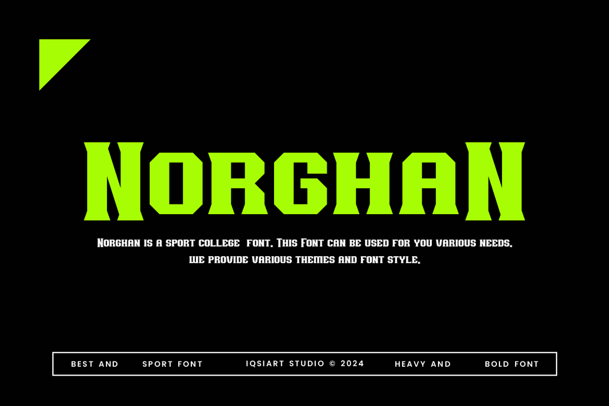 Norghan - College Font, a Serif Font by Iqsiart Studio (Photo 3 of 6)