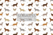 Singapura cat, an Animal Illustration by pet design shop (Thumbnail 6 of 6)