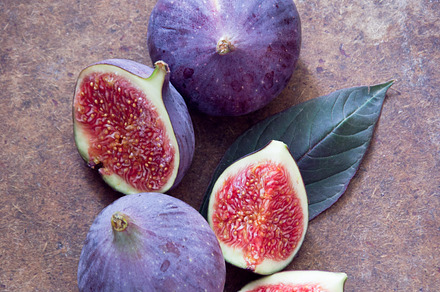 Figs containing appetizer, blue, and copy, a Food & Drink Photo by letterberry