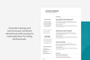 Resume Template Michewa