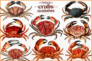 Vintage Crab illustrations
