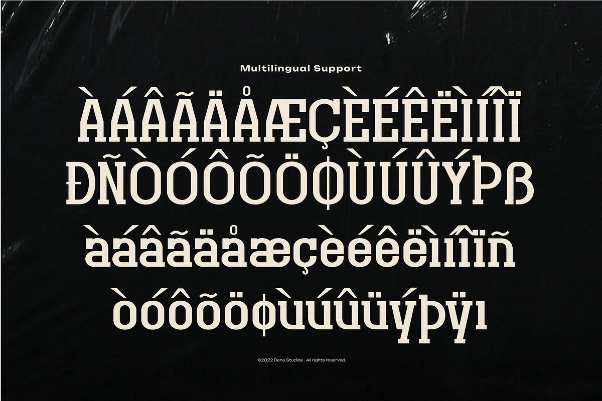 Original Regional | Display Font, a Slab Serif Font by Denustudios (Photo 12 of 12)