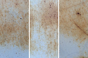 WMC Fest 5 texture pack, a Texture Graphic by The Shop (Thumbnail 27 of 36)