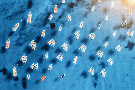 Aerial view of many motorboats on blue sea at sunrise in summer, a Transportation Photo by den-belitsky