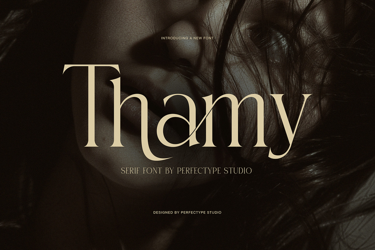 Thamy Elegant Serif Font, a Serif Font by Perfectype (Photo 1 of 8)