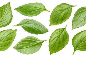 Basil leaves isolated, a Food & Drink Photo by Max Lashcheuski